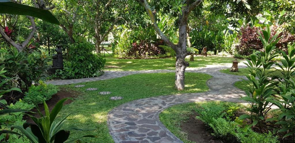 Mango Tree * Pemuteran (Bali)
