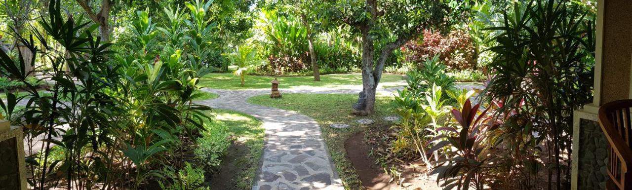 Mango Tree Wisma tamu Pemuteran (Bali)