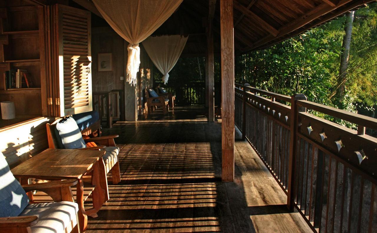 Artist Eco In Bali *