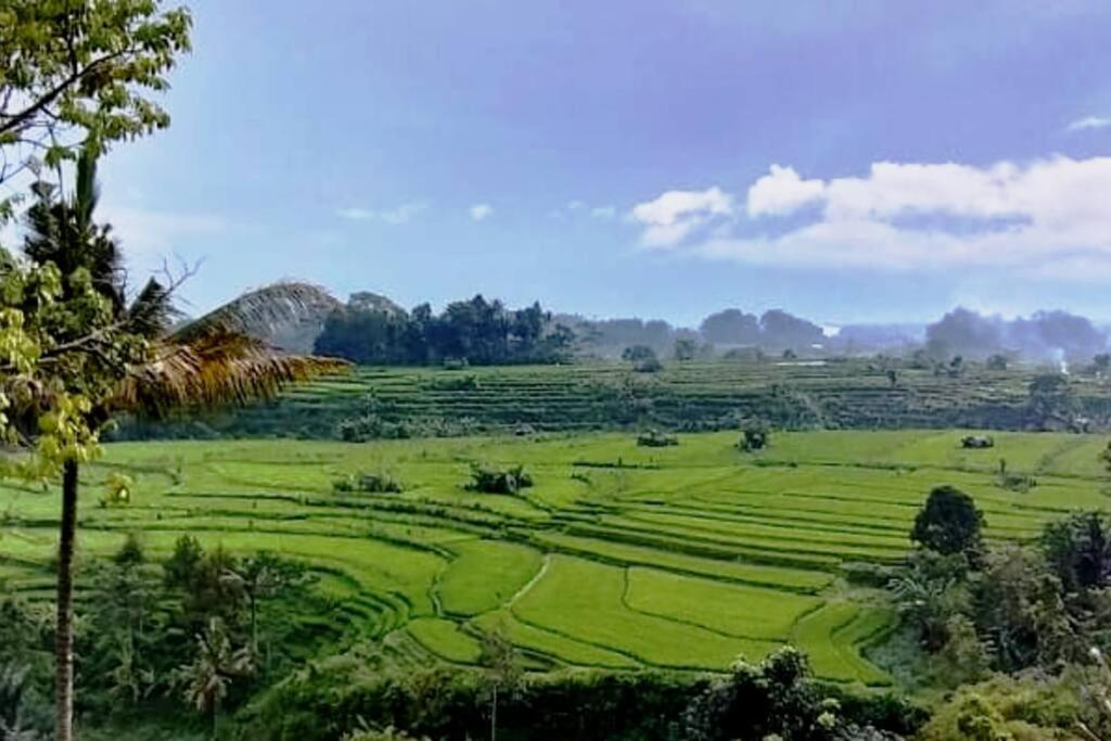 Magic Hills Bali - Magical Eco-luxury *