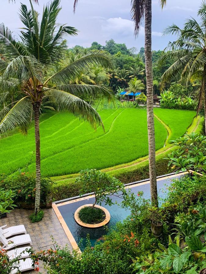 Umasari Rice Terrace By Agata Villa *