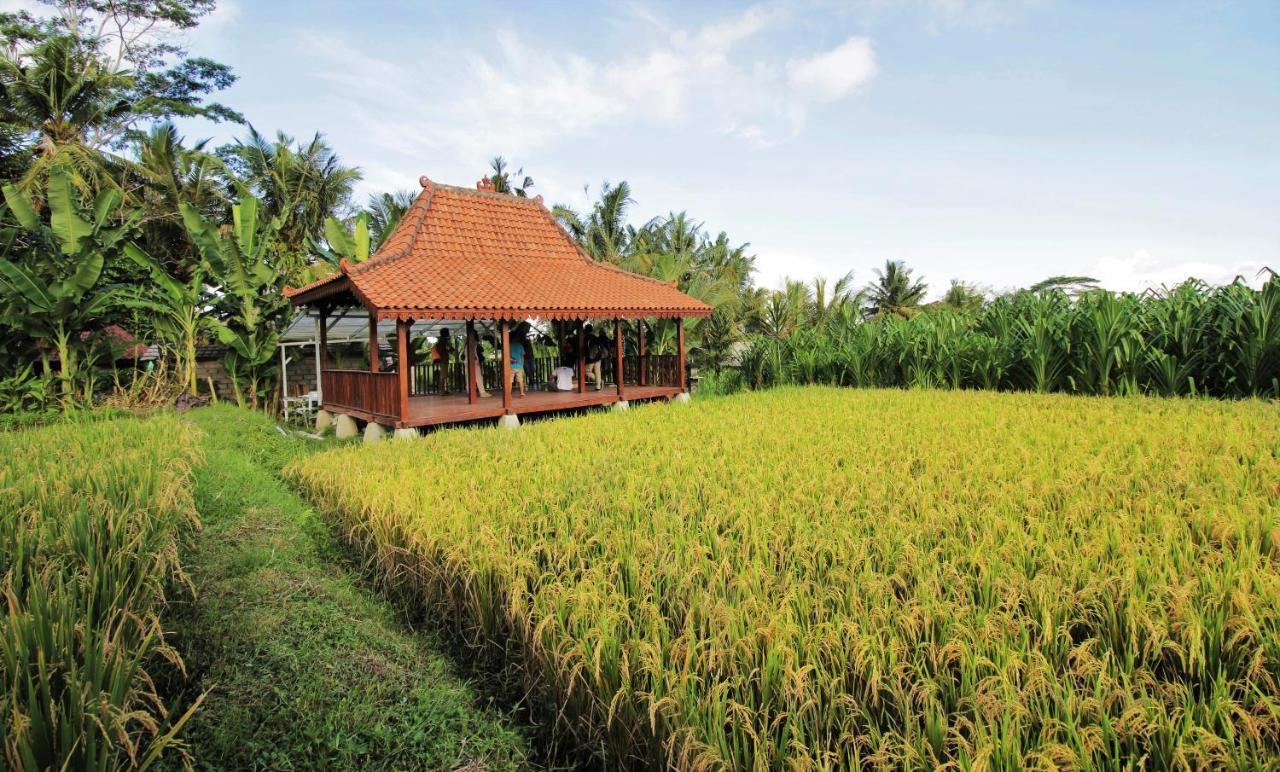 Hotel Alam Kawi Ubud &