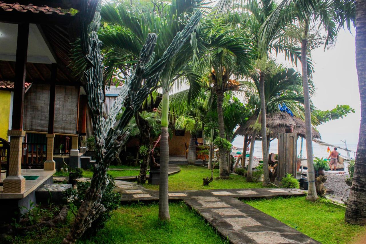 Guest house Coconut & Warung Amed (Bali)