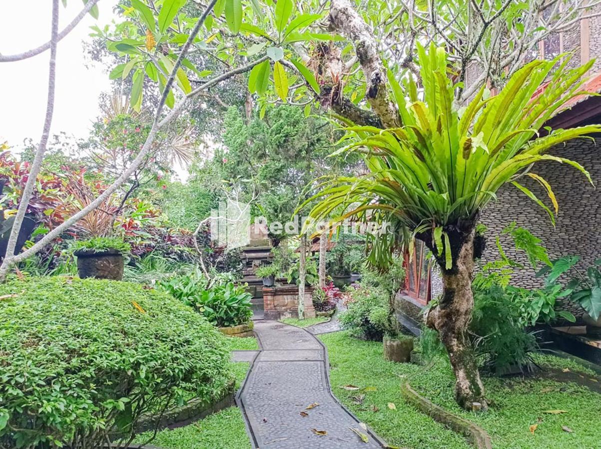 Nando House Homestay Ubud (Bali)