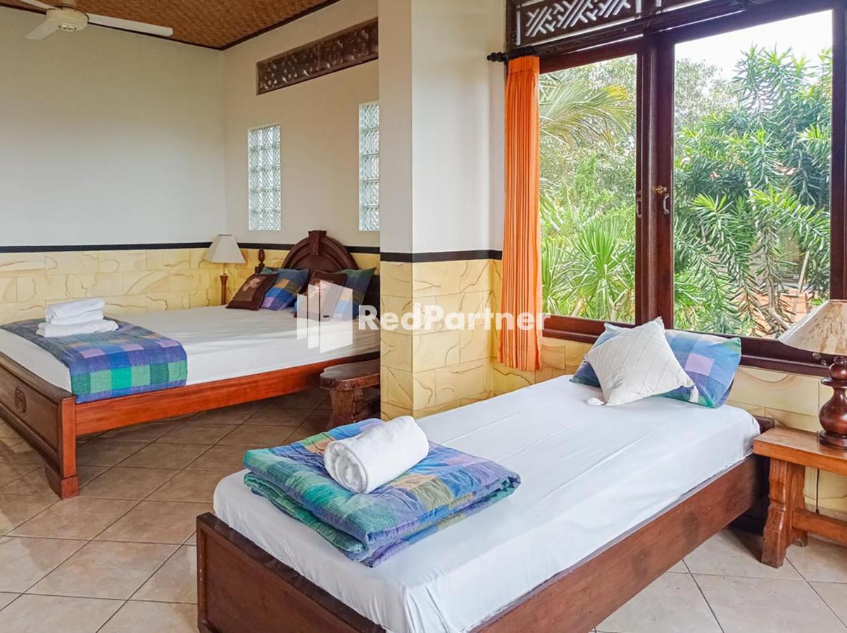 Nando House Homestay *