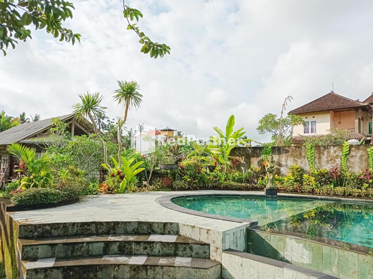Homestay Nando House *