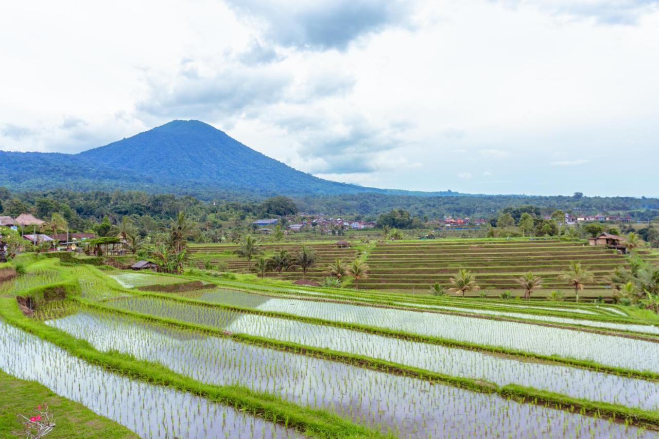 Bhuana Agung And Restaurant Bed & Breakfast