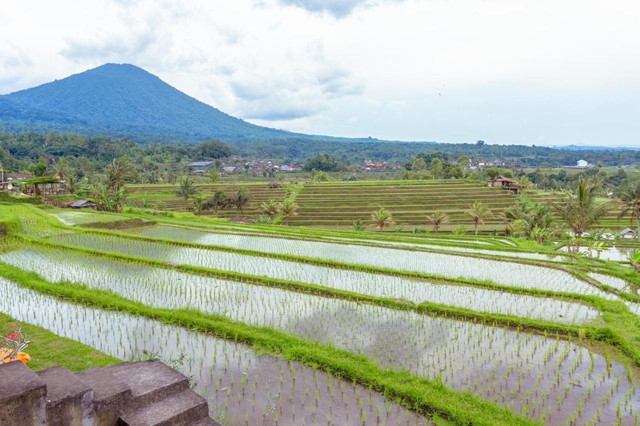 Bed & Breakfast Bhuana Agung And Restaurant *