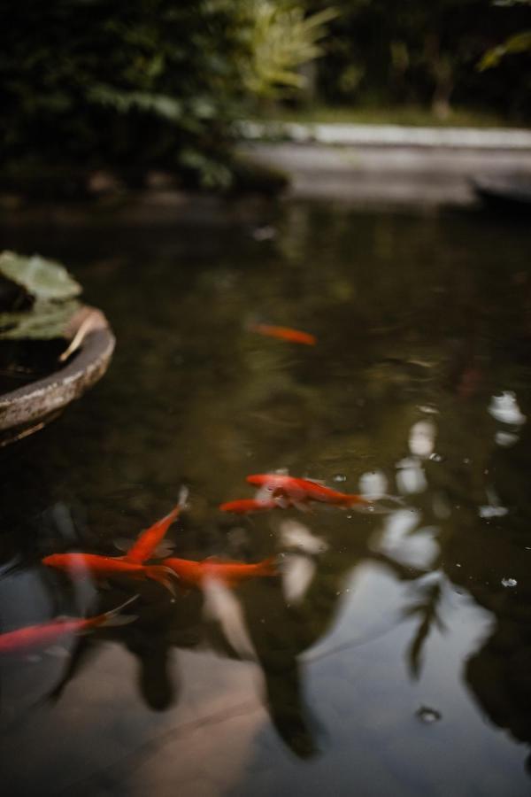 Holiday park Mandala Desa Sukawati (Bali)