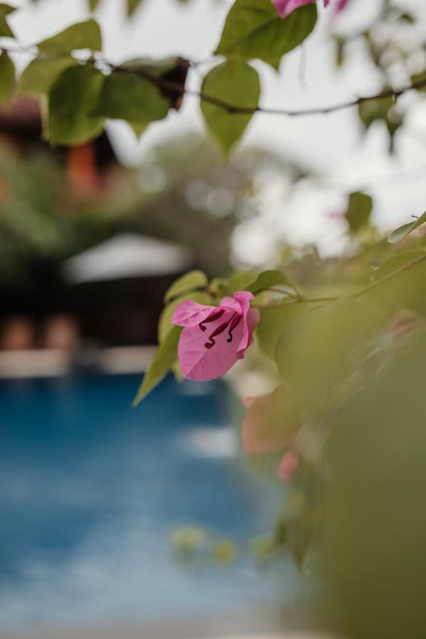 Mandala Desa 4*
