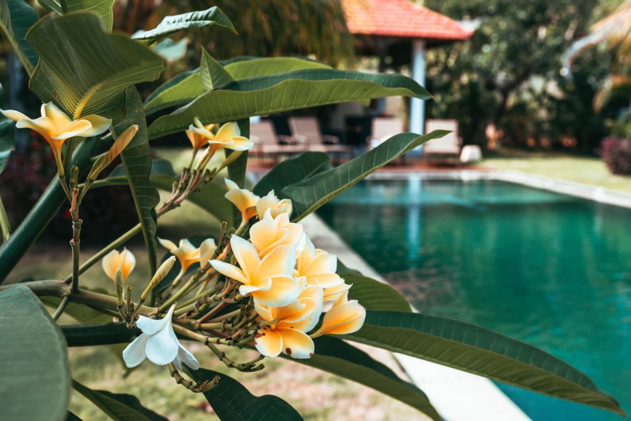 Guest house Bali Mynah