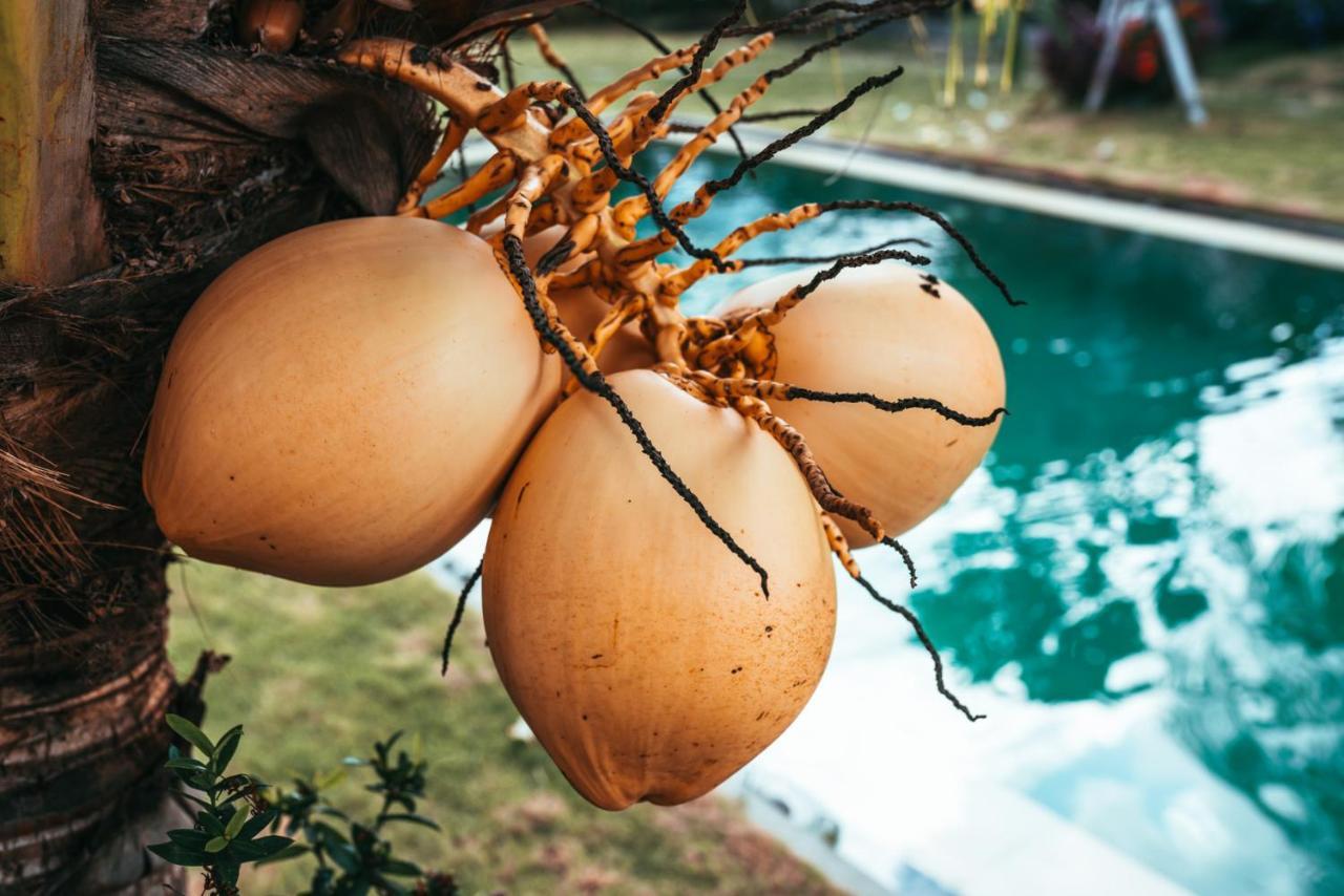 Guest house Bali Mynah