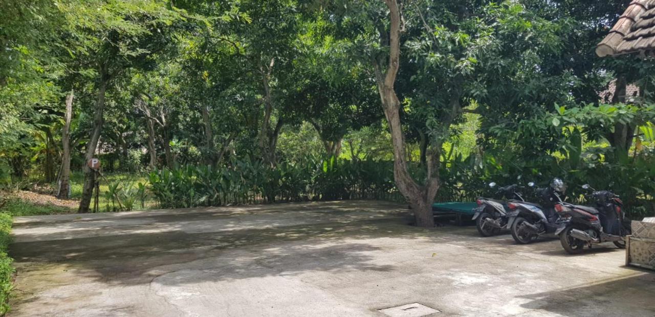 Mango Tree * Pemuteran (Bali)