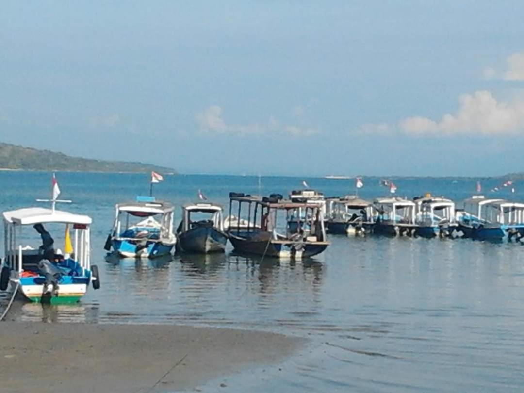 Putu 2* Pemuteran (Bali)
