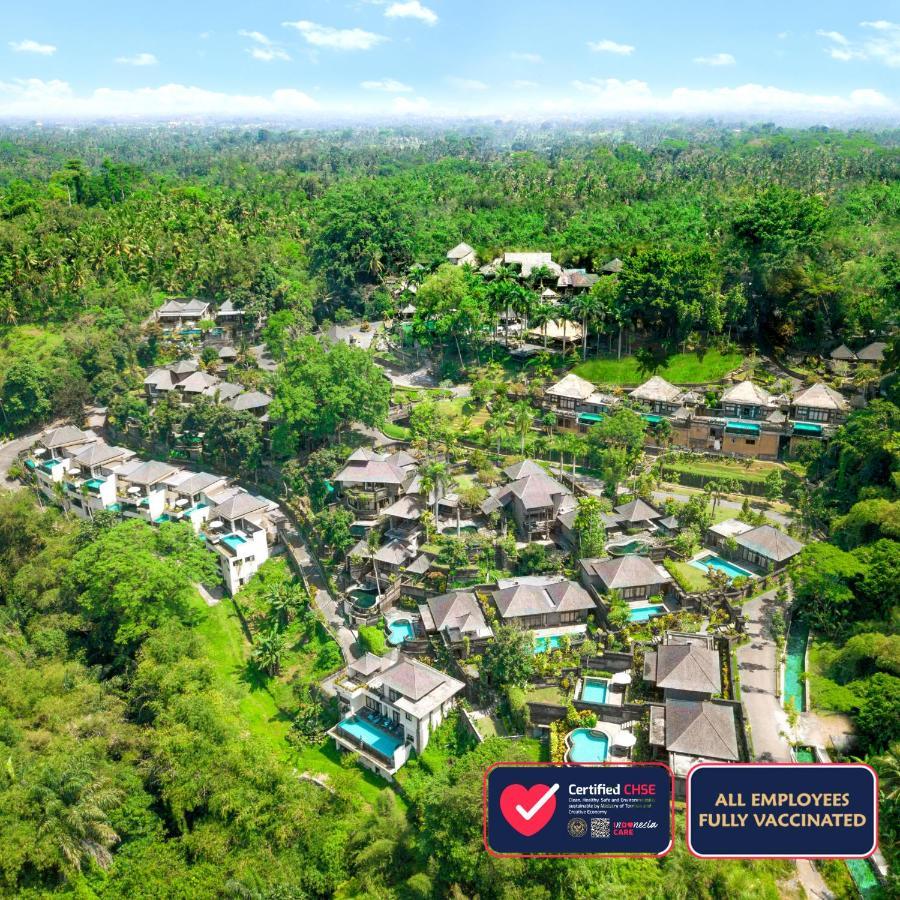 The Payogan And Resort