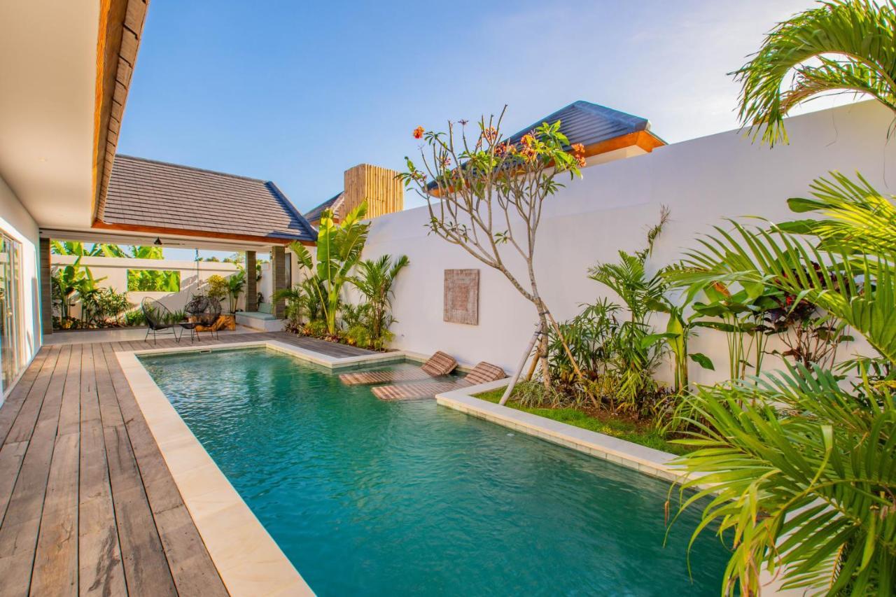 Villa Hedonia Luxury *