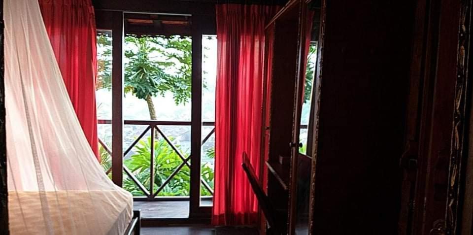Manouria - Marcel * Padangbai (Bali)