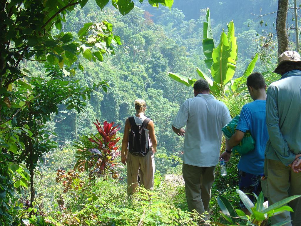 Gunung Paradis Retreat