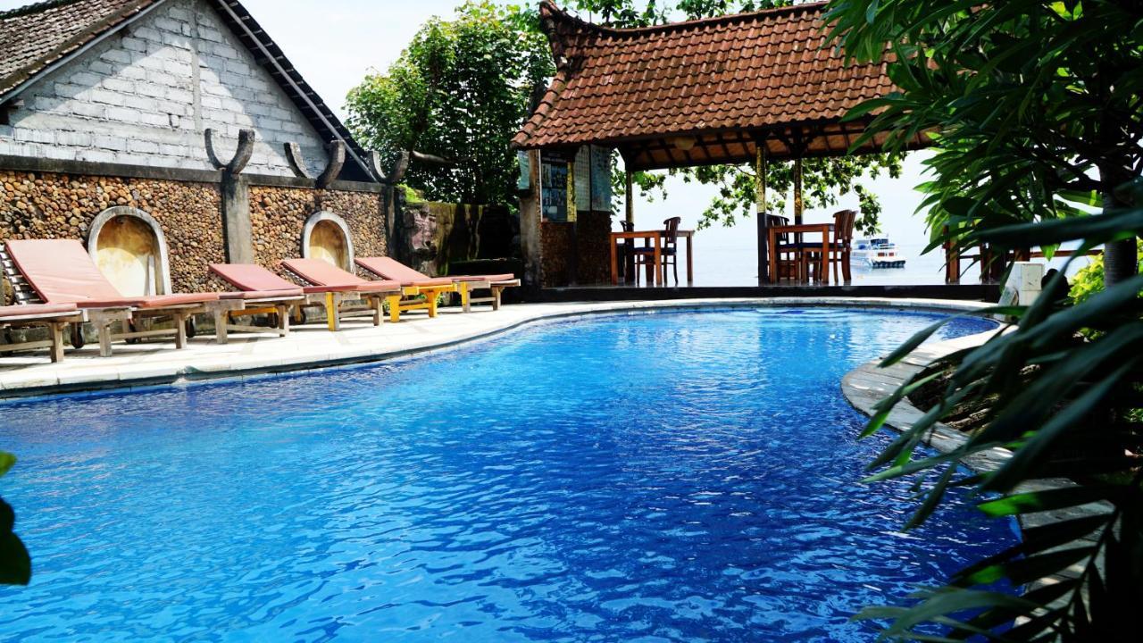 Diver's Cafe Guest house Amed (Bali)