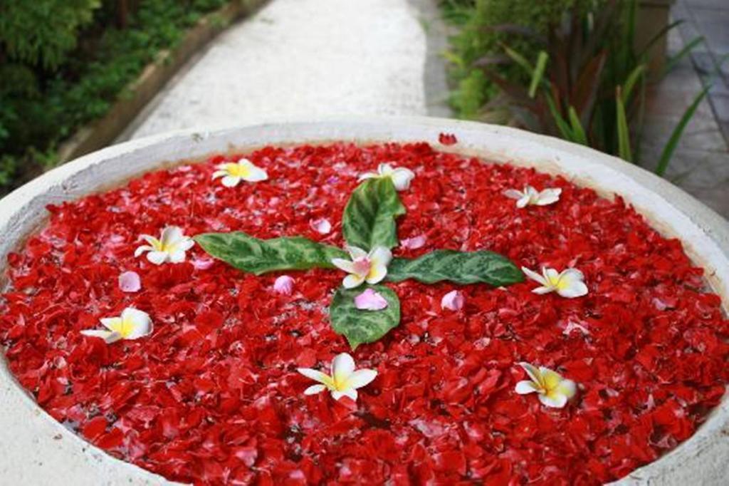 Bali Reef 4* Nusa Dua (Bali)