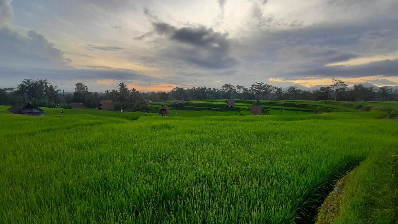 Tenda mewah Batan Nyuh Retreat