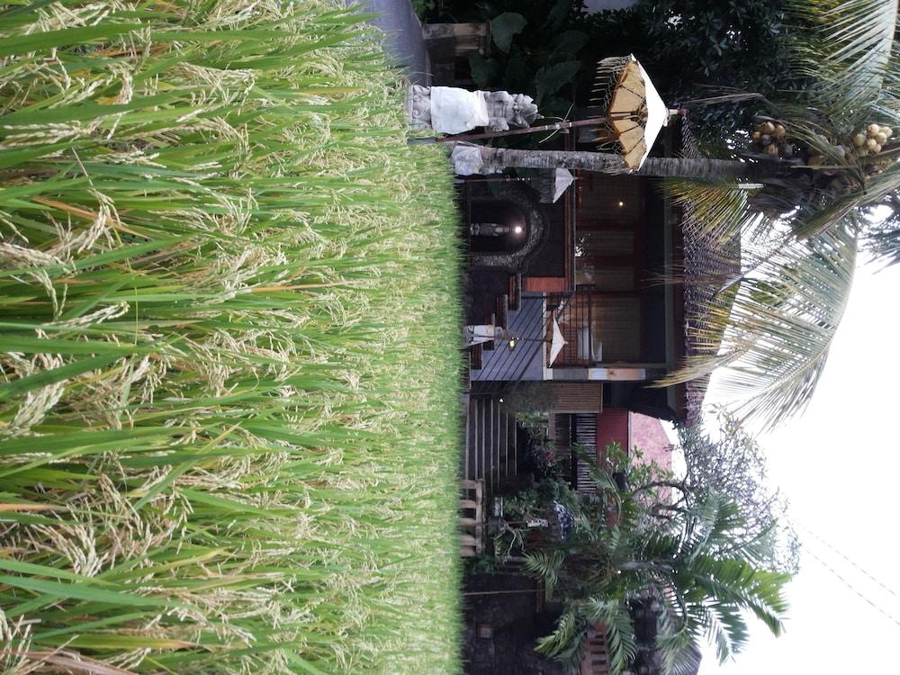 Bali Putra