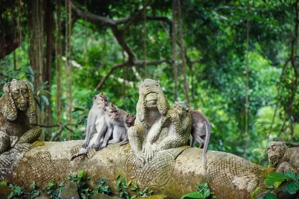 Puri Padi Ubud (Bali)