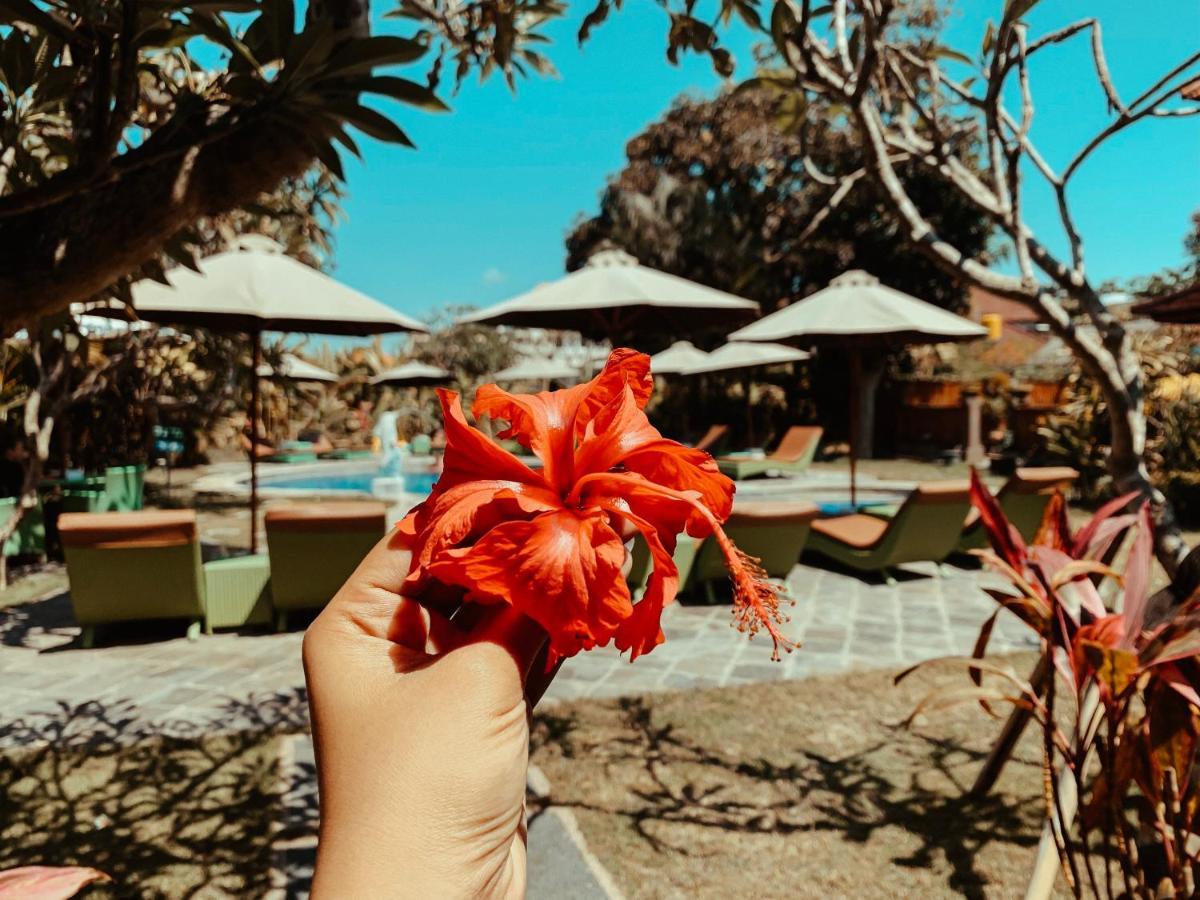 Guest house Bali Wirasana