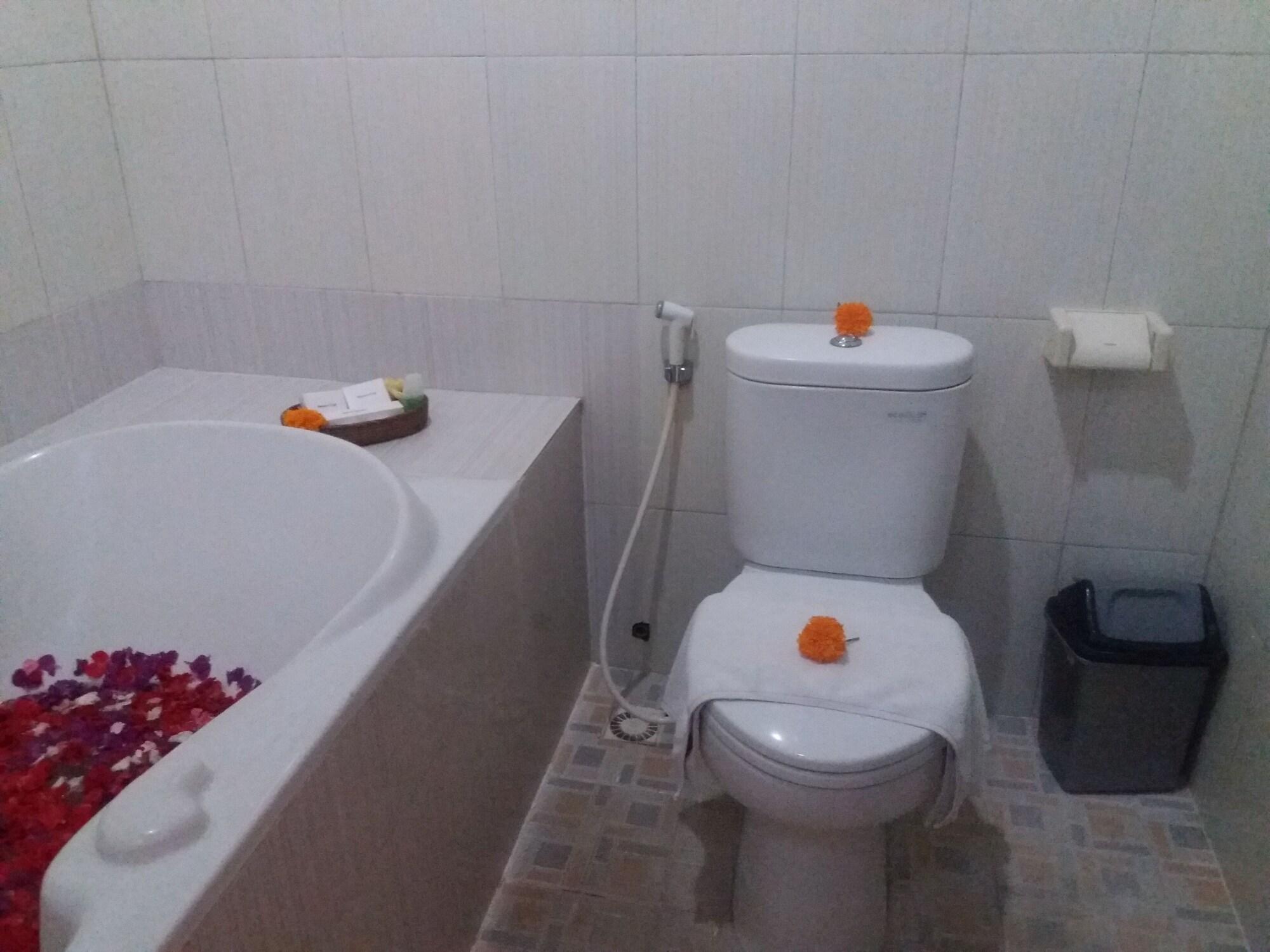 Guest house Liyer House 2*