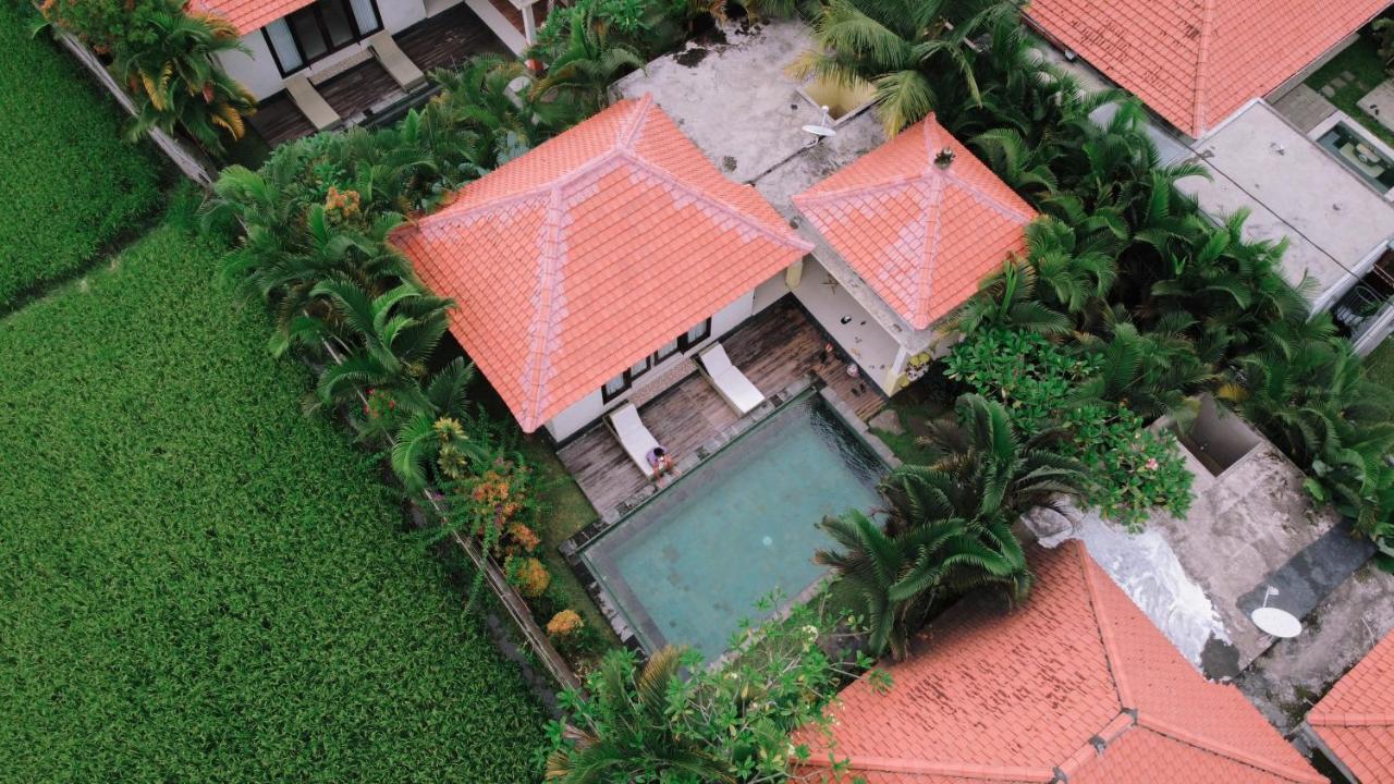 The Sawah & 4*