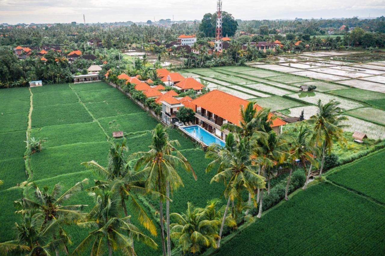 The Sawah &
