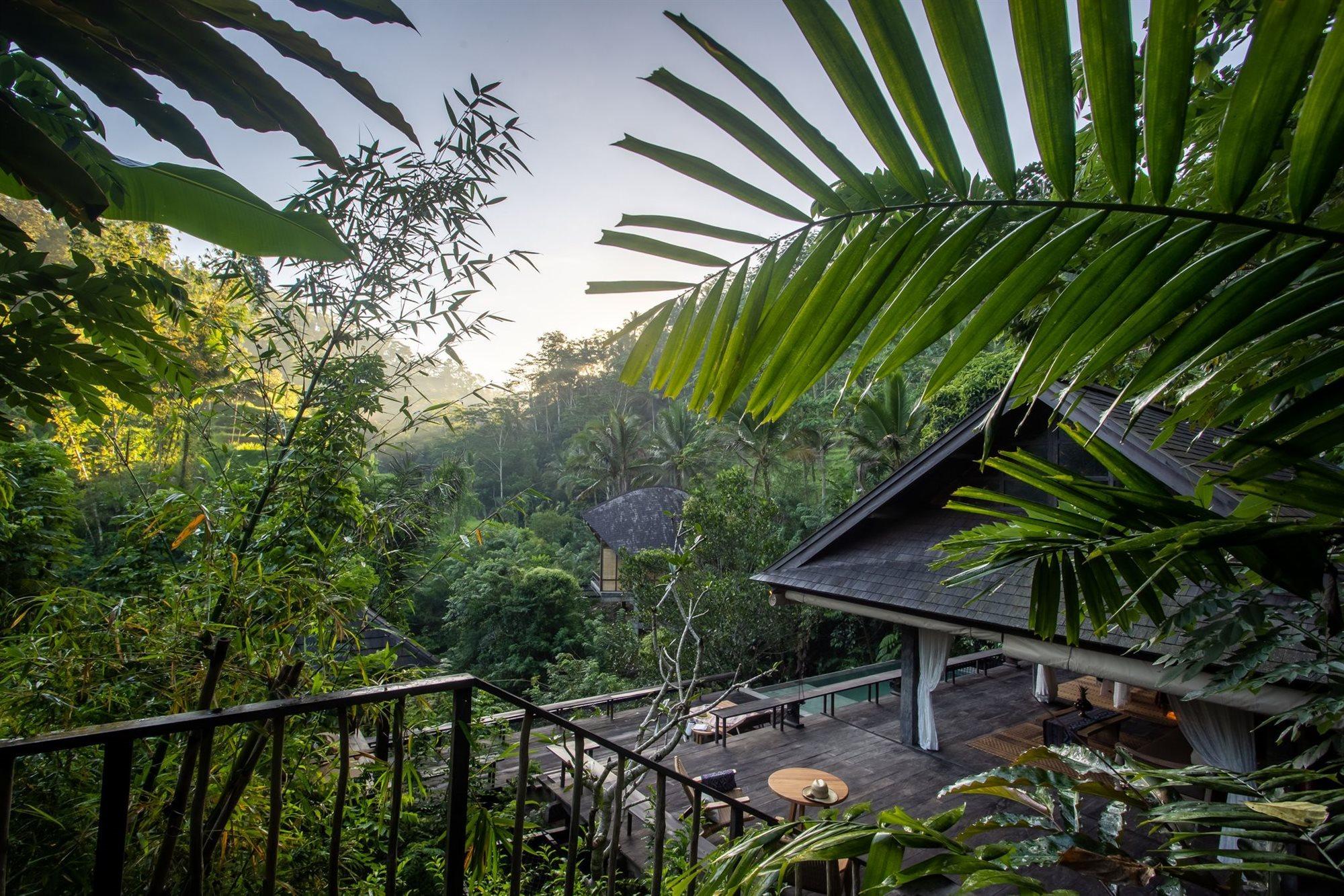 Buahan, A Banyan Tree Escape 5* Payangan