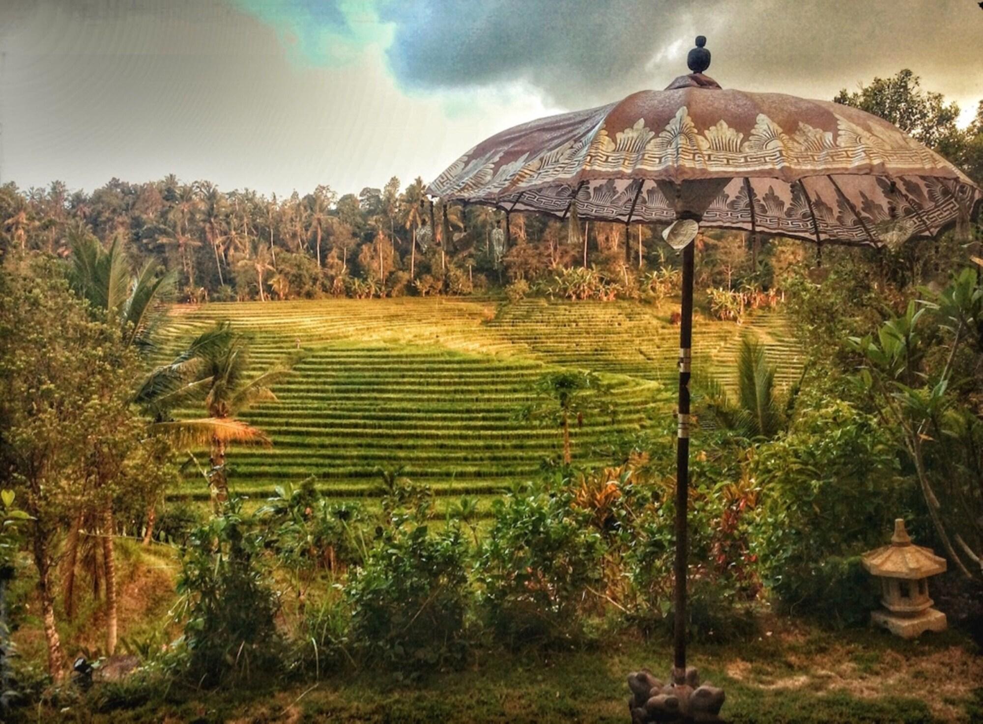 Bali Lush Bed & Breakfast