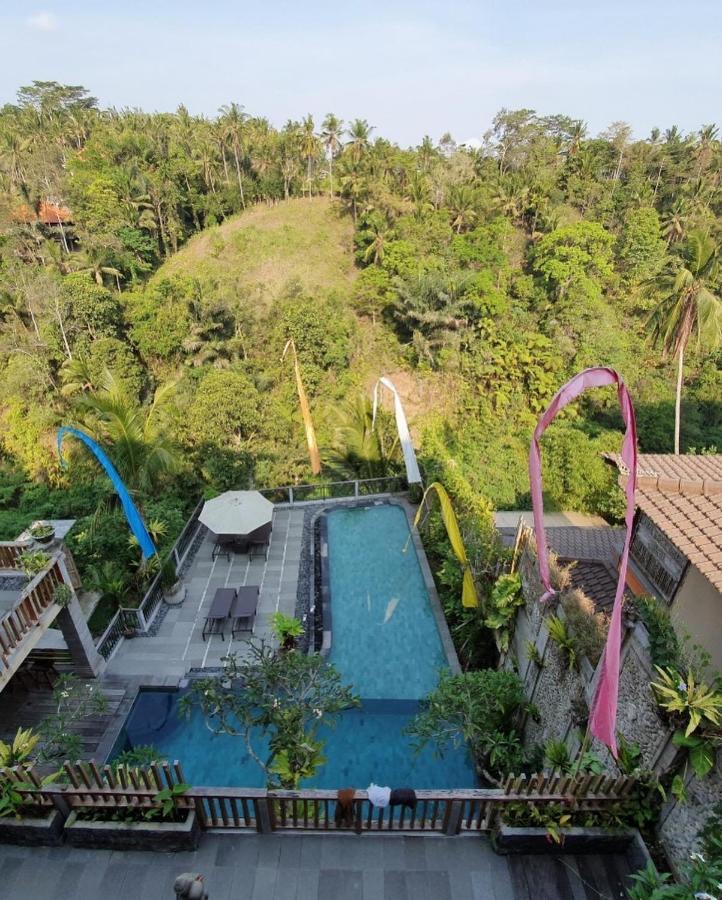Paras Guest house 3*