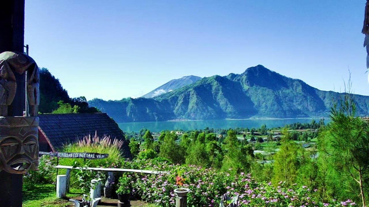 Guest house Bali View