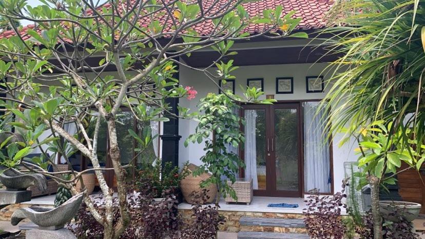 Homestay Bobo
