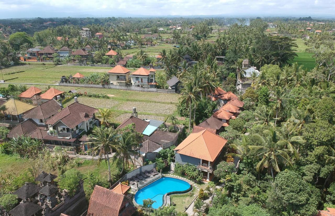Abangan Guest house Ubud (Bali)