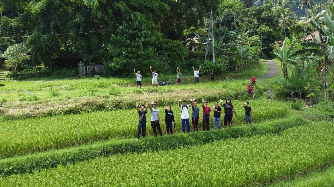 Villa Madja *