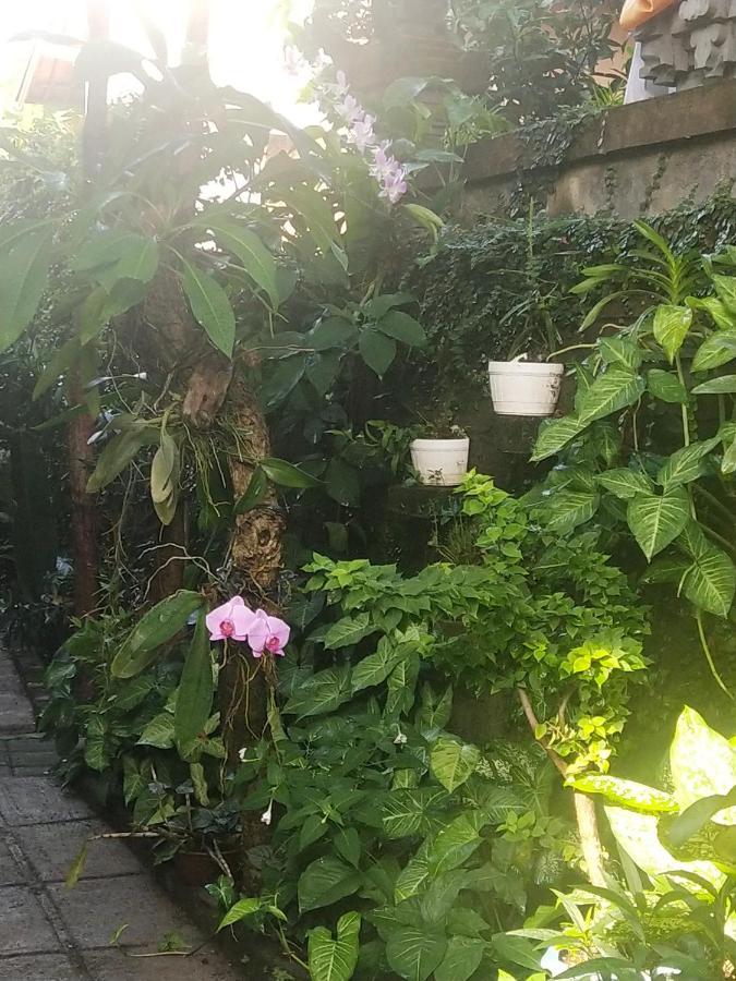 Homestay Santa Fe & Warong
