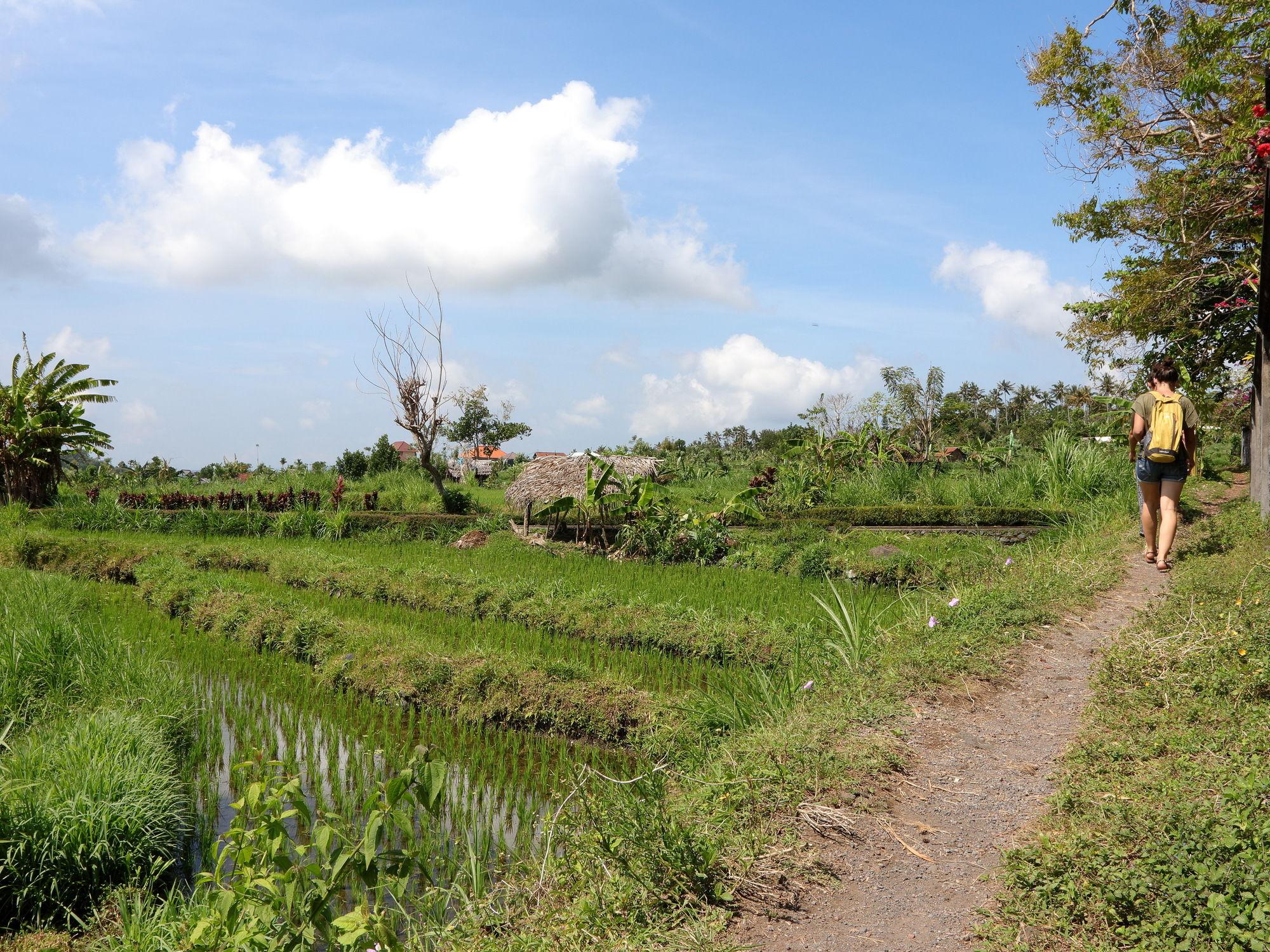 Mimpi Hotel Tulamben (Bali)