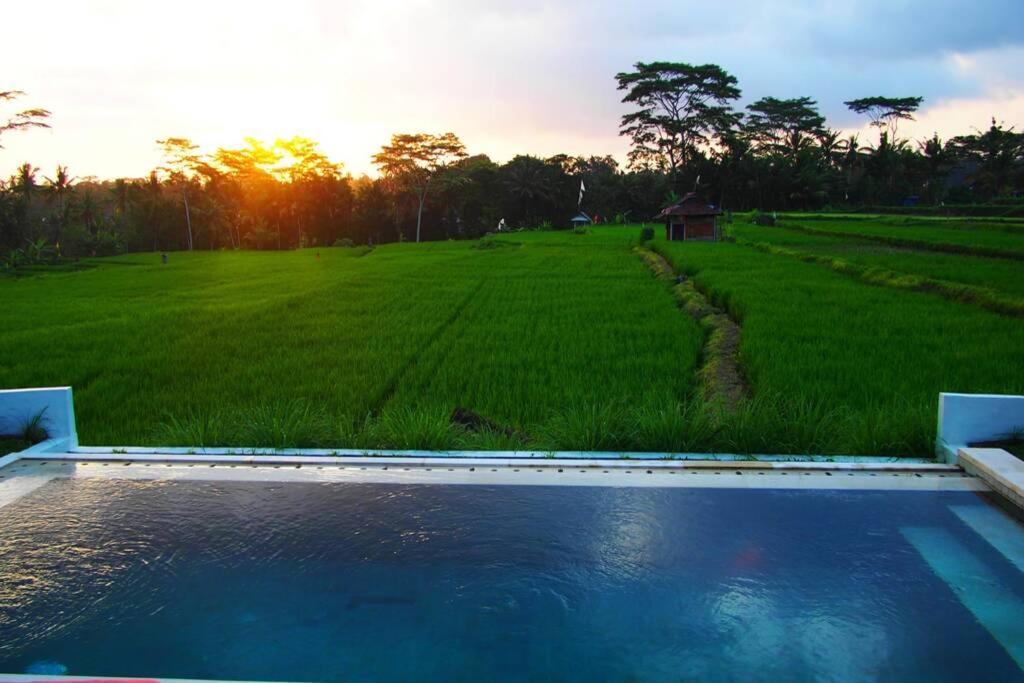 Villa 2 Bedroom With Open View Of Rice Paddies & Sunset