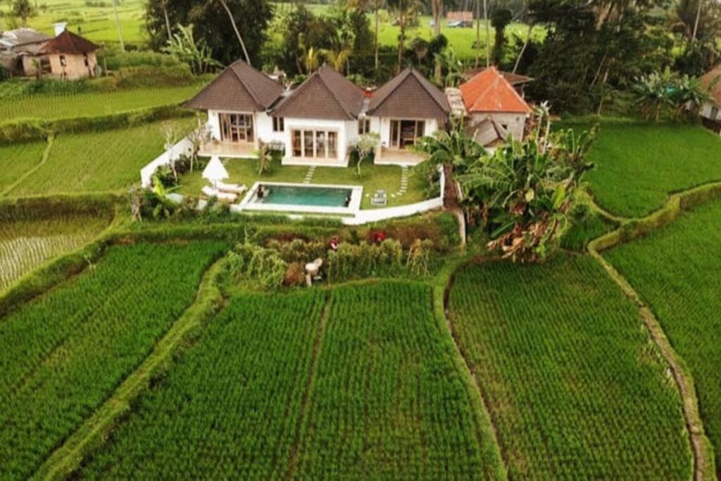 2 Bedroom With Open View Of Rice Paddies & Sunset Villa Gianyar (Bali)