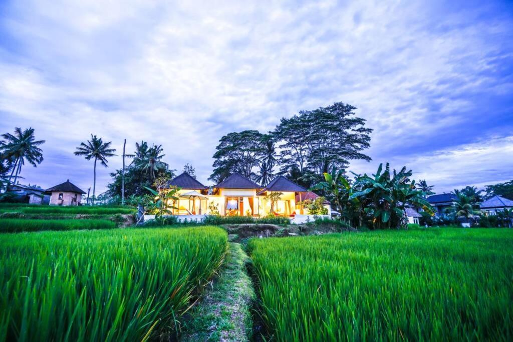 2 Bedroom With Open View Of Rice Paddies & Sunset