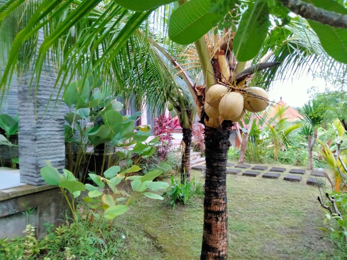 Pier26 Bali