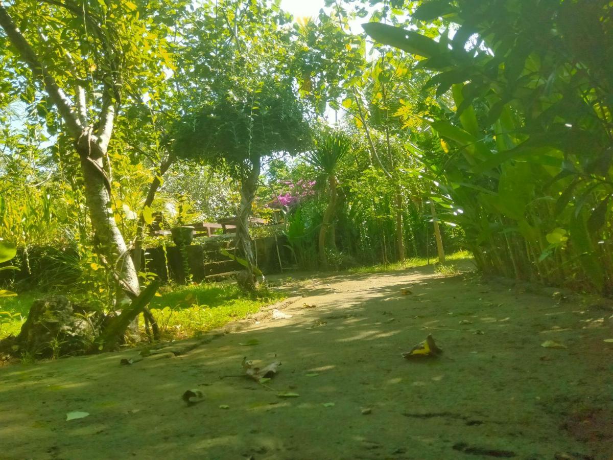 Pier26 Bali Homestay