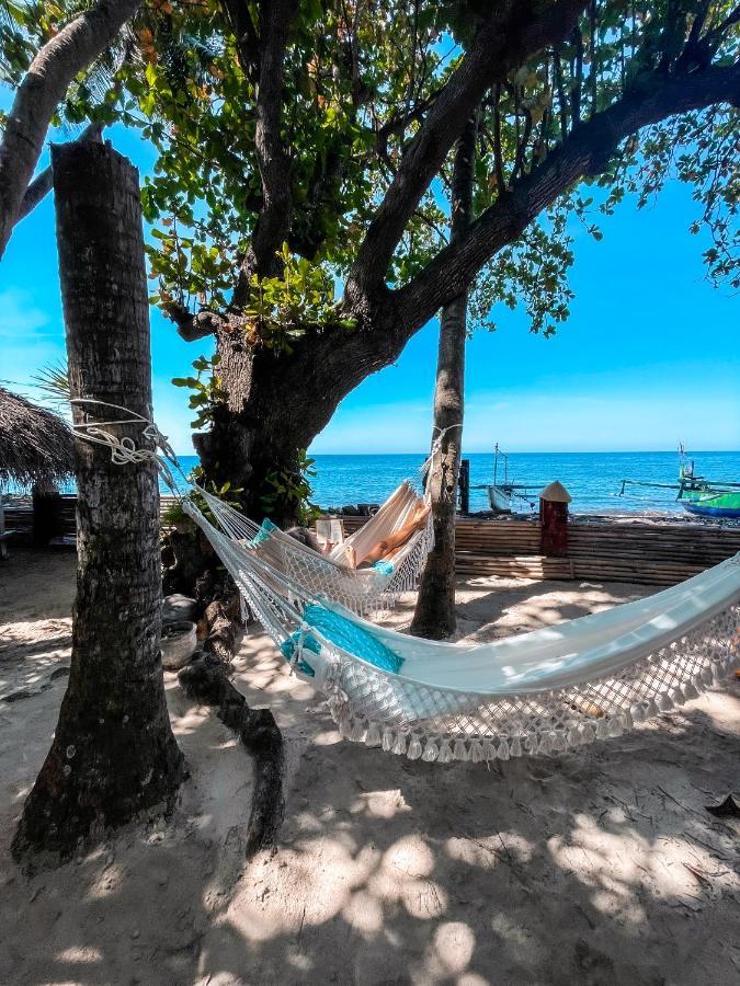Cili Emas Oceanside