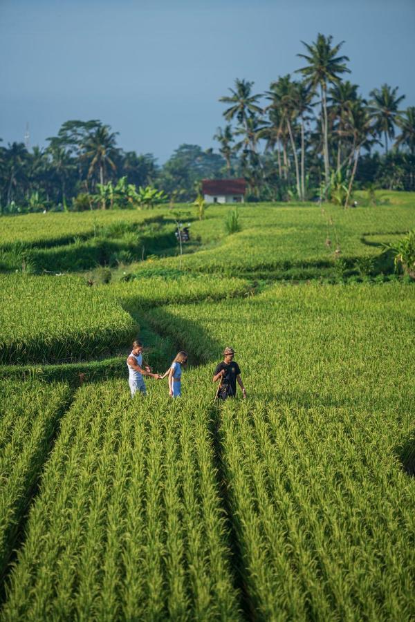 Resort The Sun Of Granary And Ubud (Bali)