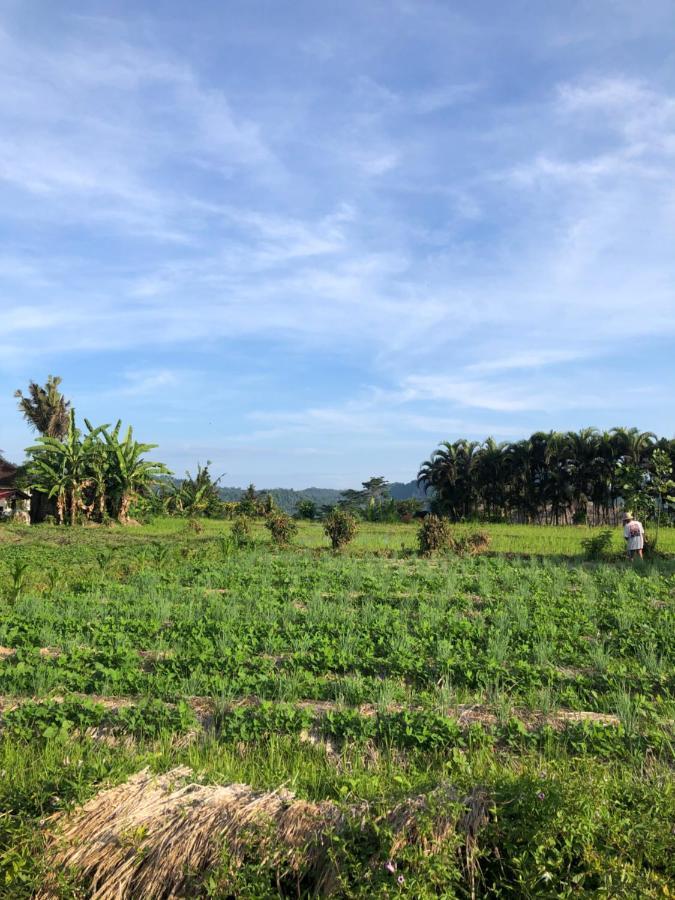 Amrita Sidemen Inn