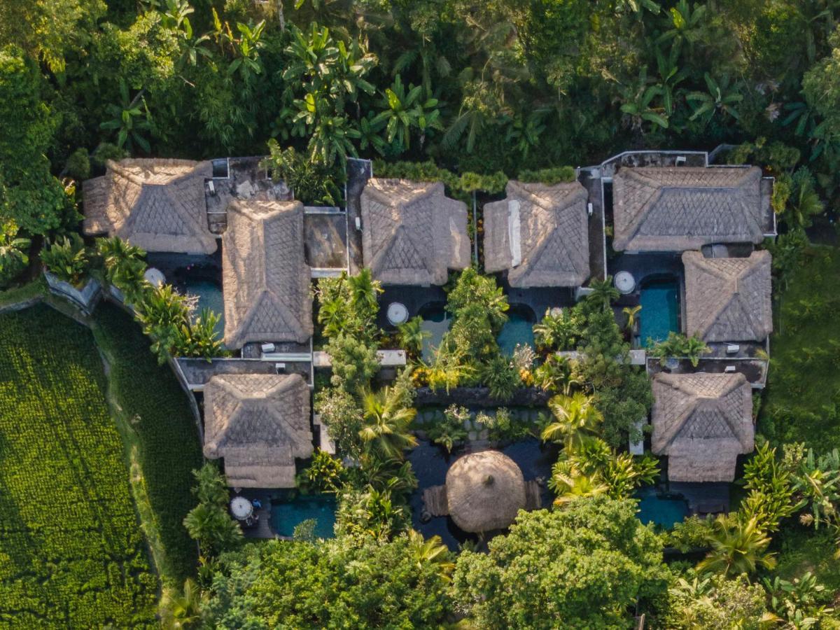 Resort The Sun Of Granary And 4*