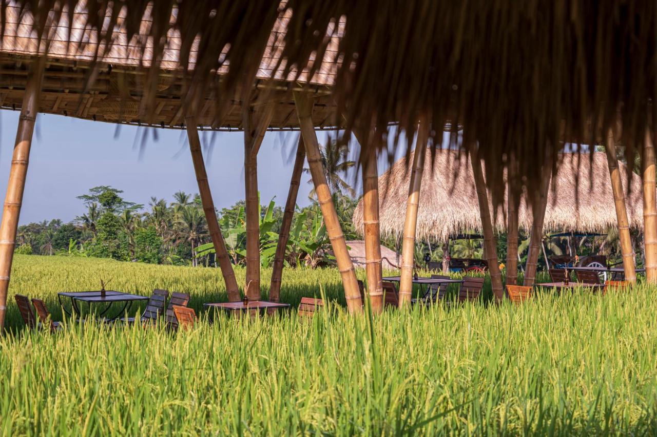Resort The Sun Of Granary And Ubud (Bali)